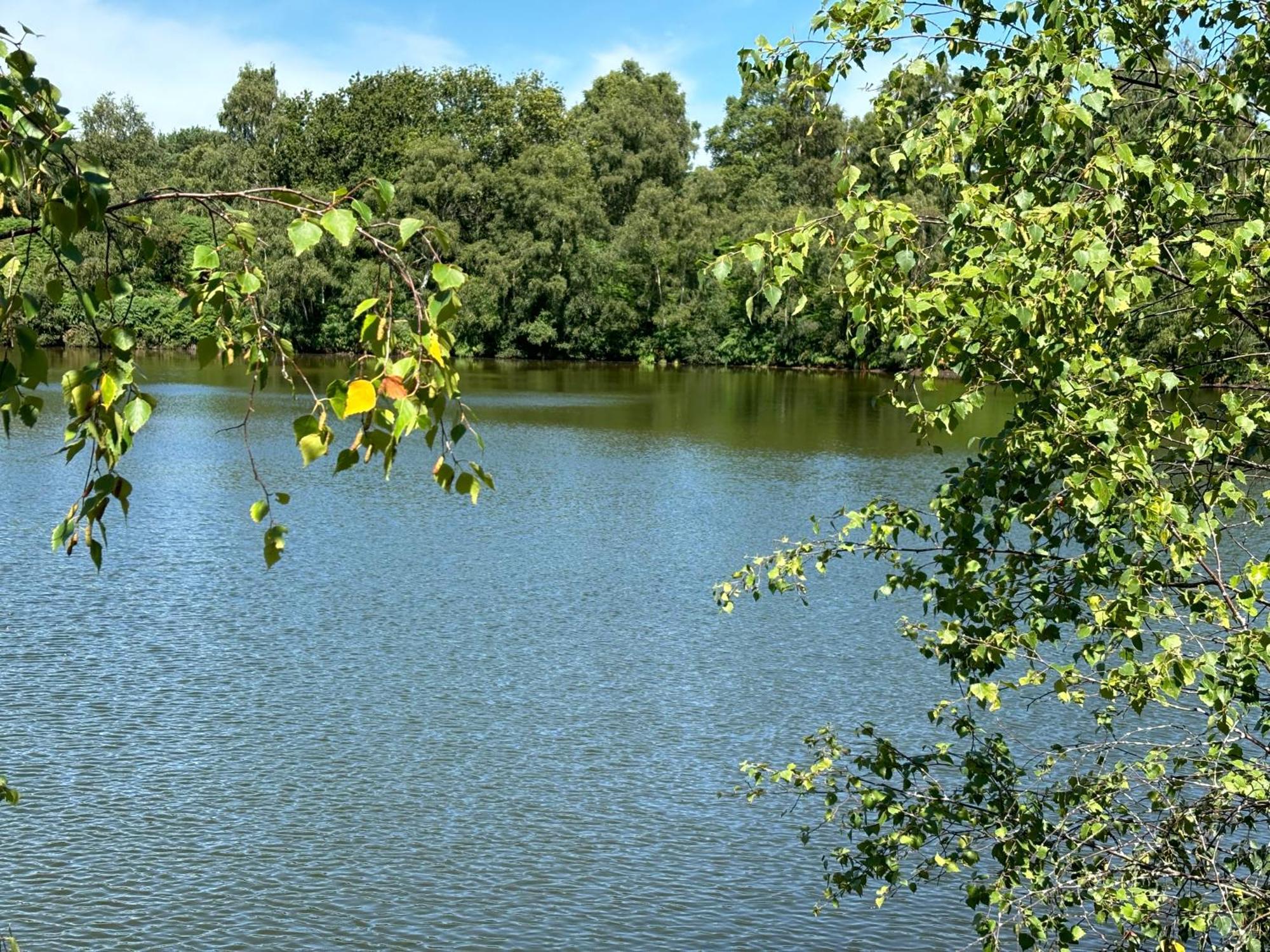 Willa The Annexe At Gomo East Winch Zewnętrze zdjęcie